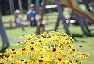 flyout-blumen-garten